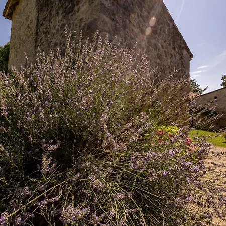 Semesterbostad De Pehillo - Piscine & Nature A Nérac
