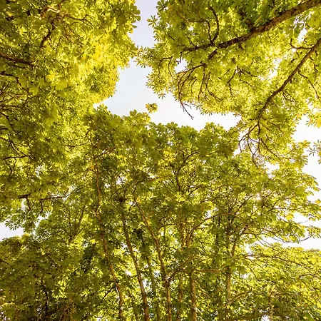 De Pehillo - Piscine & Nature A * Nérac